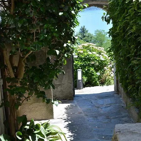 Landscape *